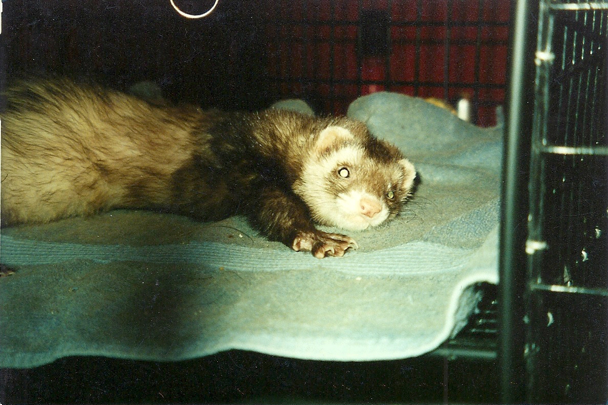  13