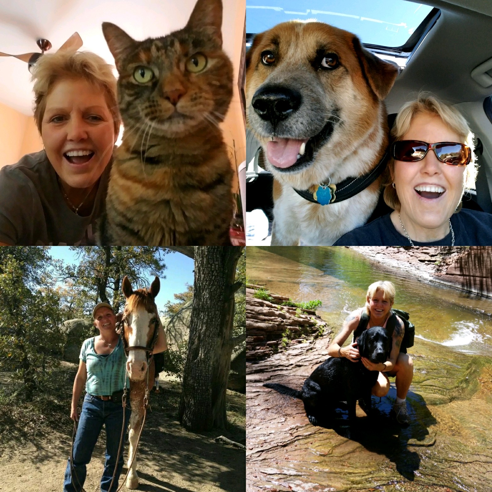 Happy Tails Pet Sitting and Dog Walking