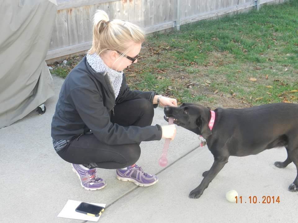 Sit! Stay. Relax..., LLC  Pet Concierge Service