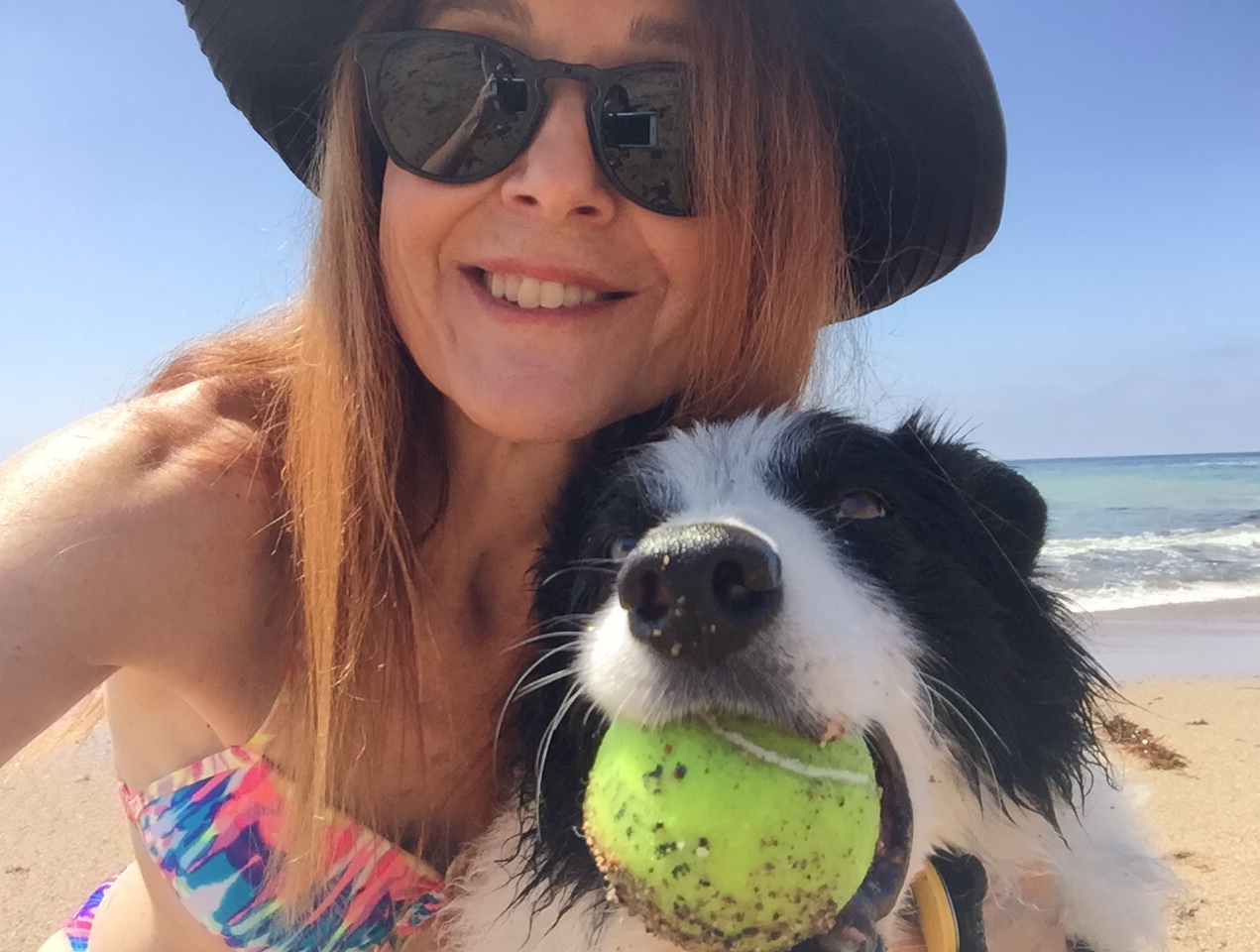 Ode to a Dog