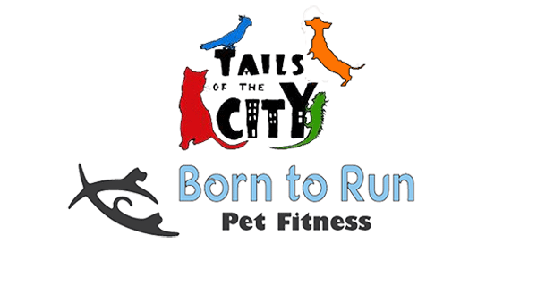 Tails of the City Pet Care & Born to Run Pet Fitness