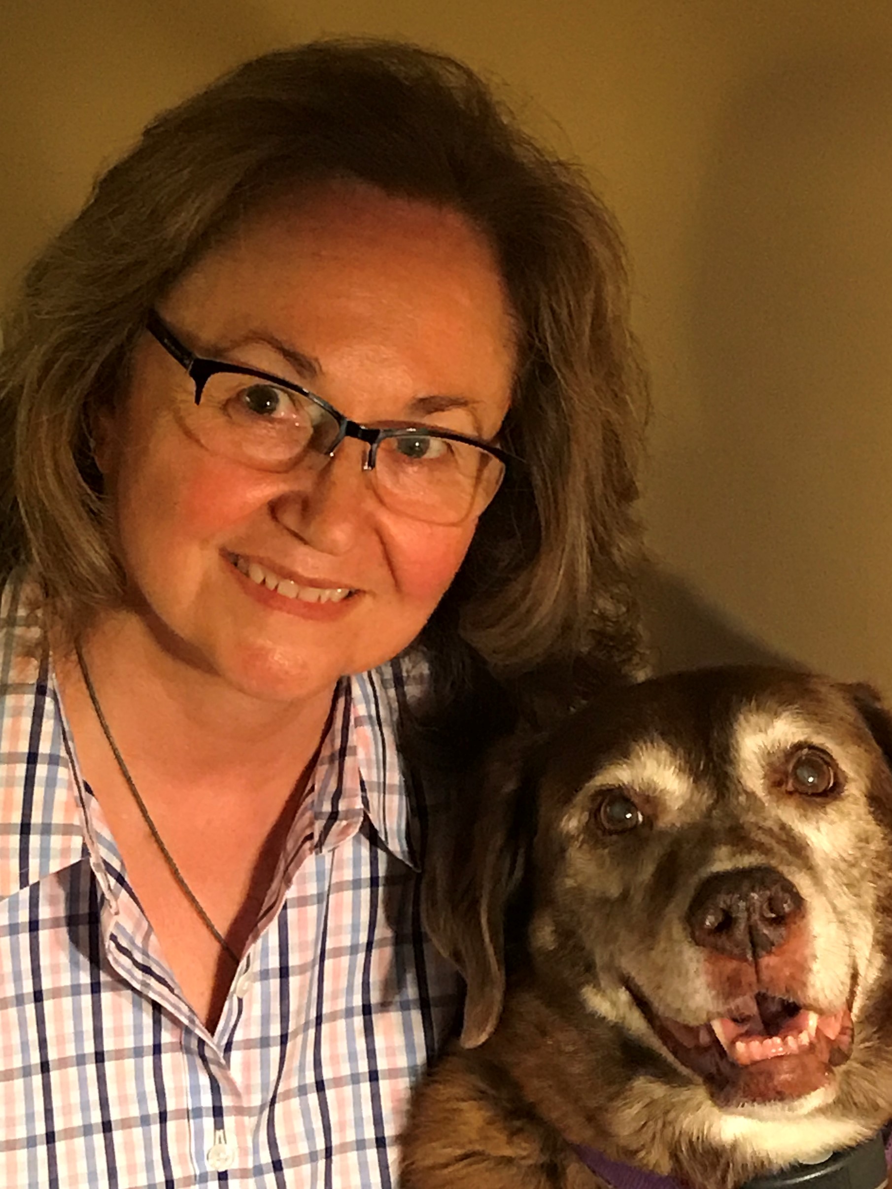 Canine Companion Plus