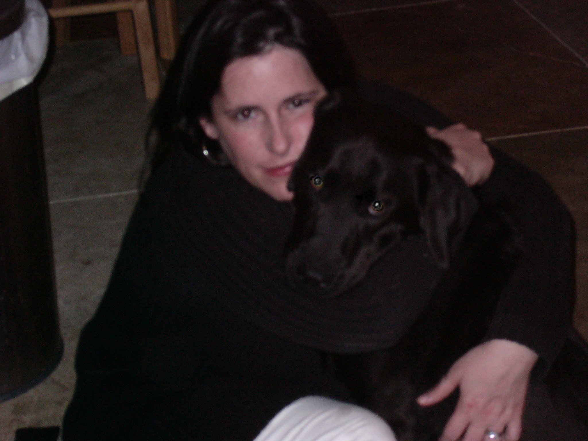 Good Dog Animal Care