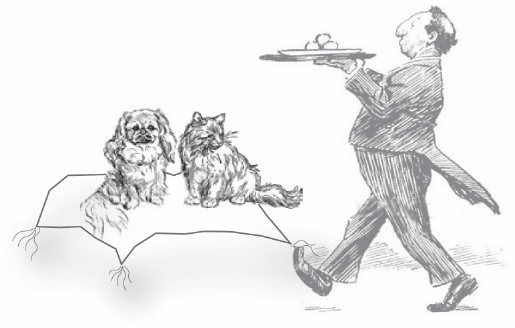 Judy Dawson Pet Sitting Service