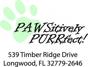 Pawsitively purrfect pet top care