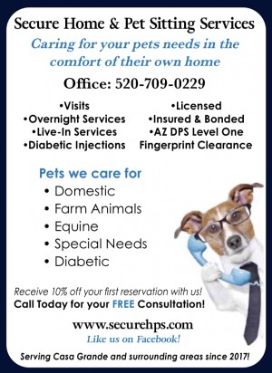 Secure Home Pet Sitting Services LLC