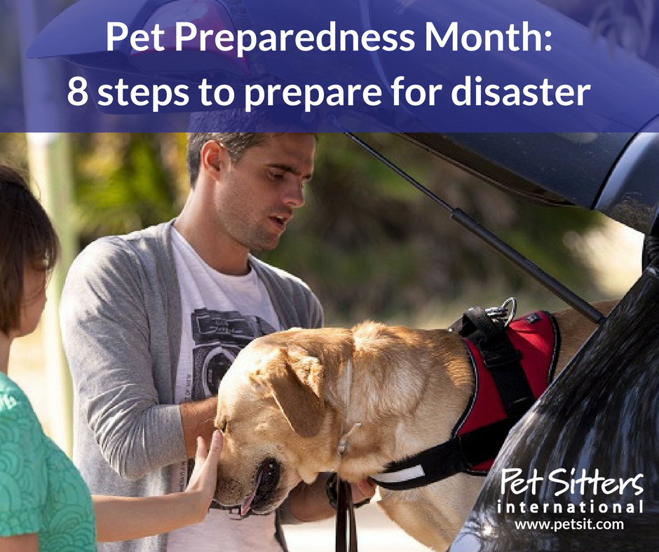 Pet Preparedness Month: 8 steps to prepare for disaster