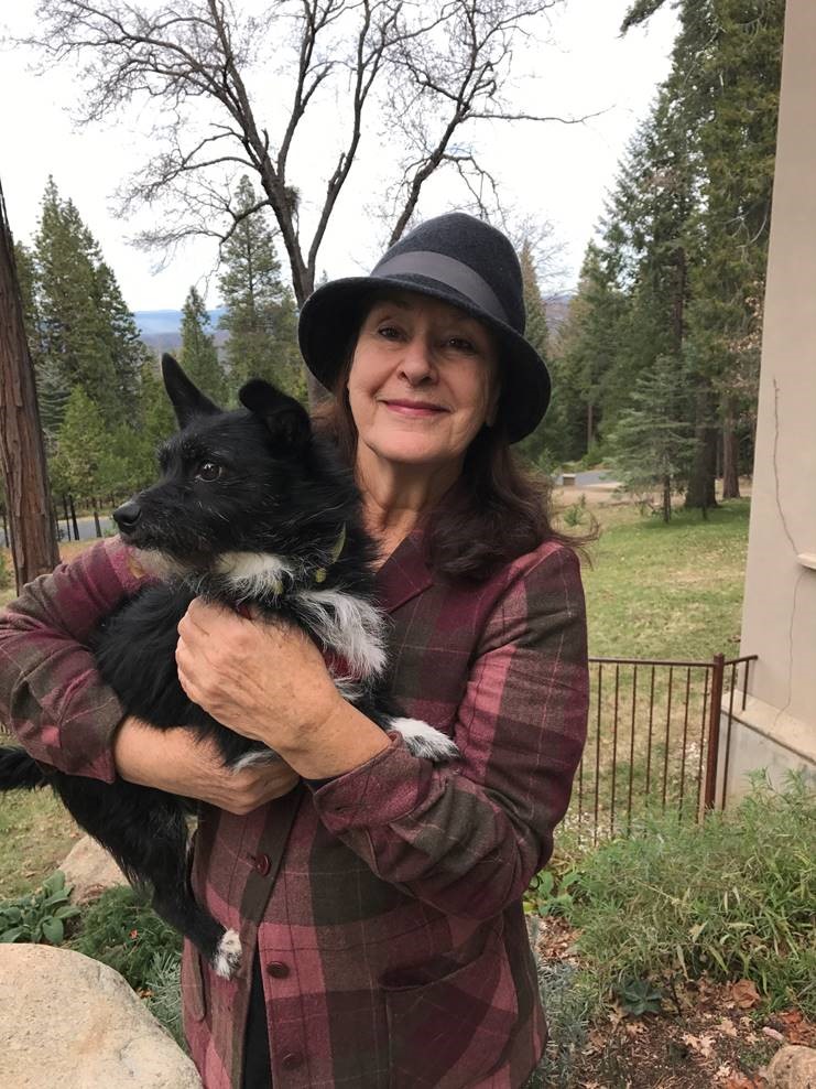 Bonnie and Clyde's Pet Sitting Service
