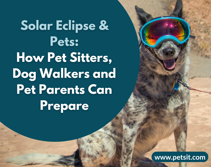 Solar eclipse and pets-how pet sitters, dog walkers and pet parents can prepare