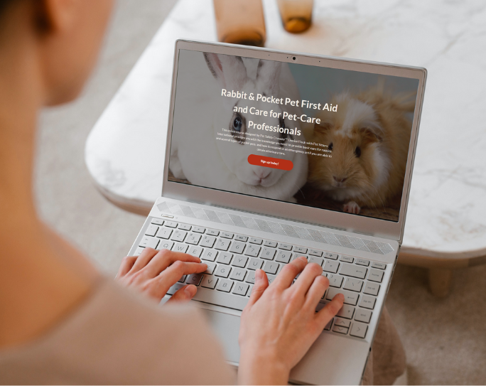 Person looking at computer, Rabbit and Pocket Pet First Aid and Care for Pet-Care Professionals course on screen