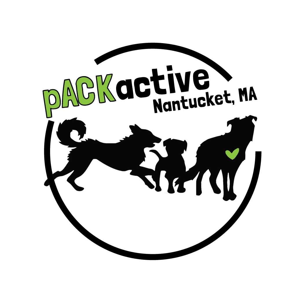 pACKactive