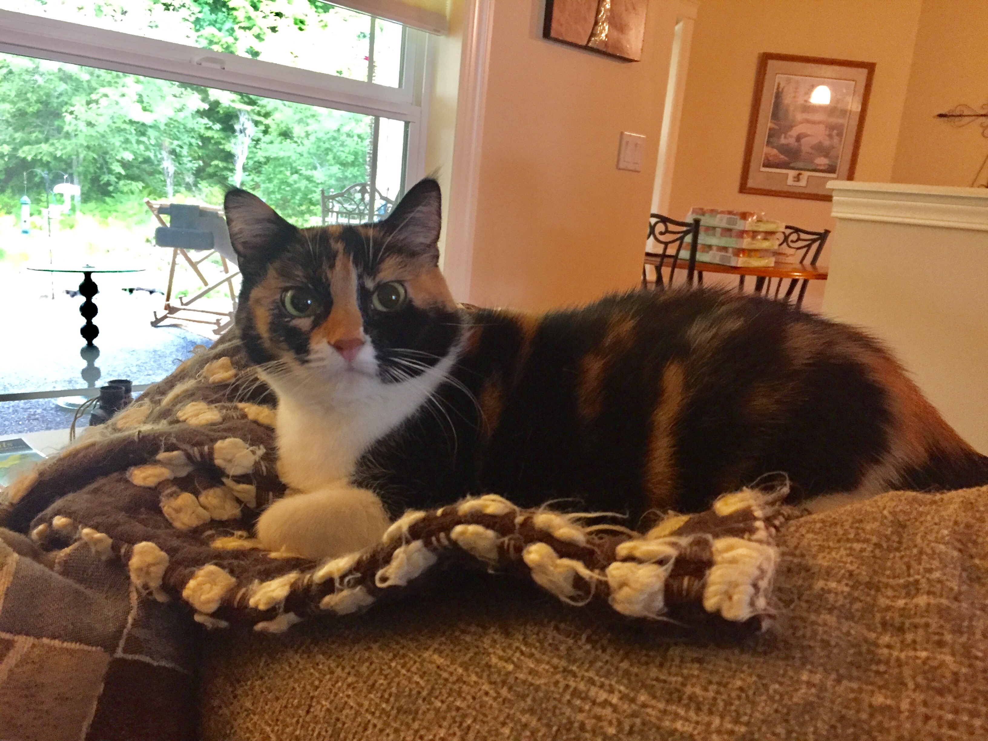  5