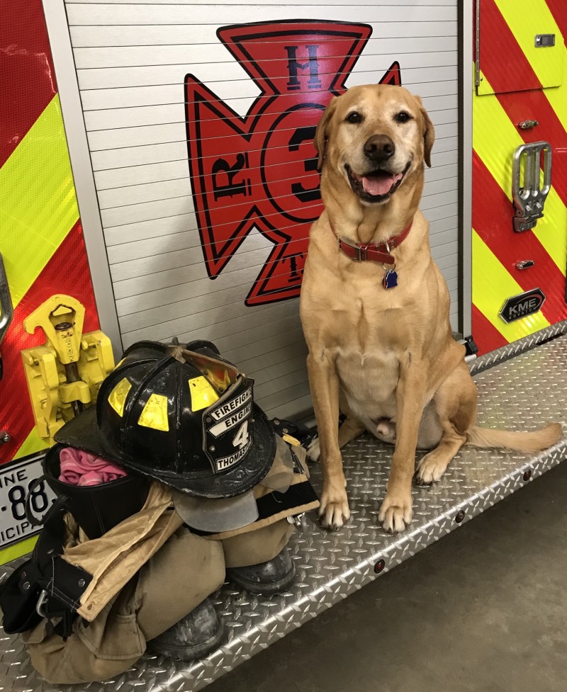 Jake the Fire Dog