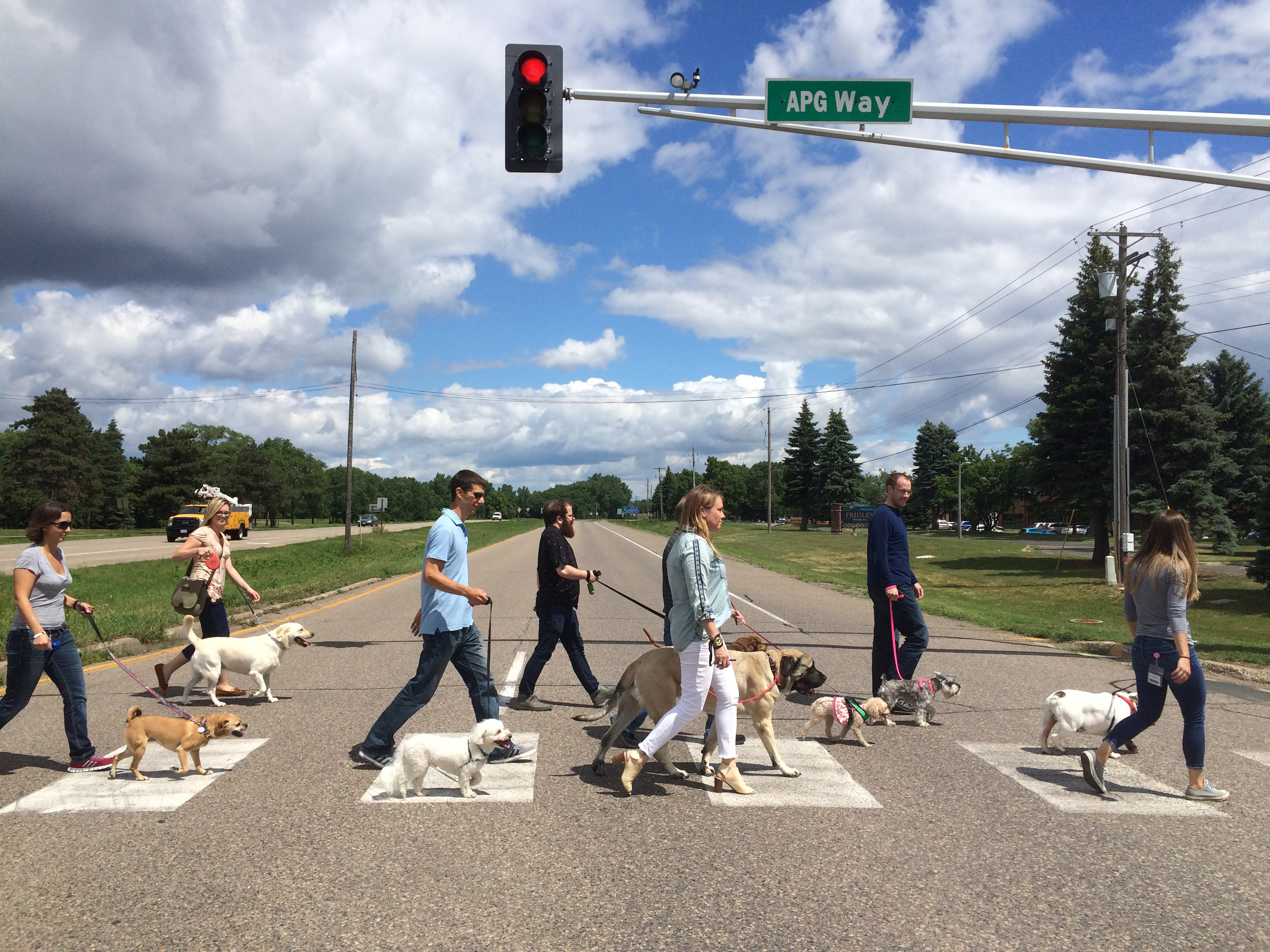 Photo: 2017 Take Your Dog To Work Day Photo Contest entry, submitted by Liz Thon