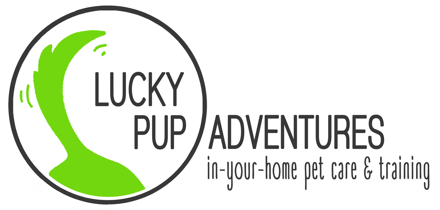 Lucky Pup Adventures
