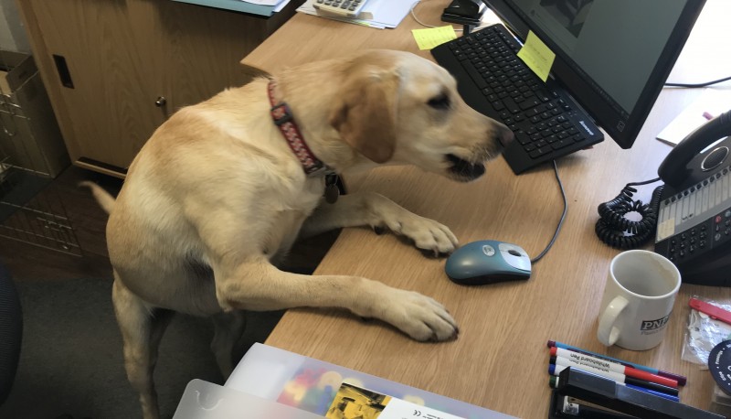 Barley is taking calls today