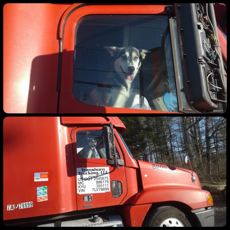 Trucking Husky