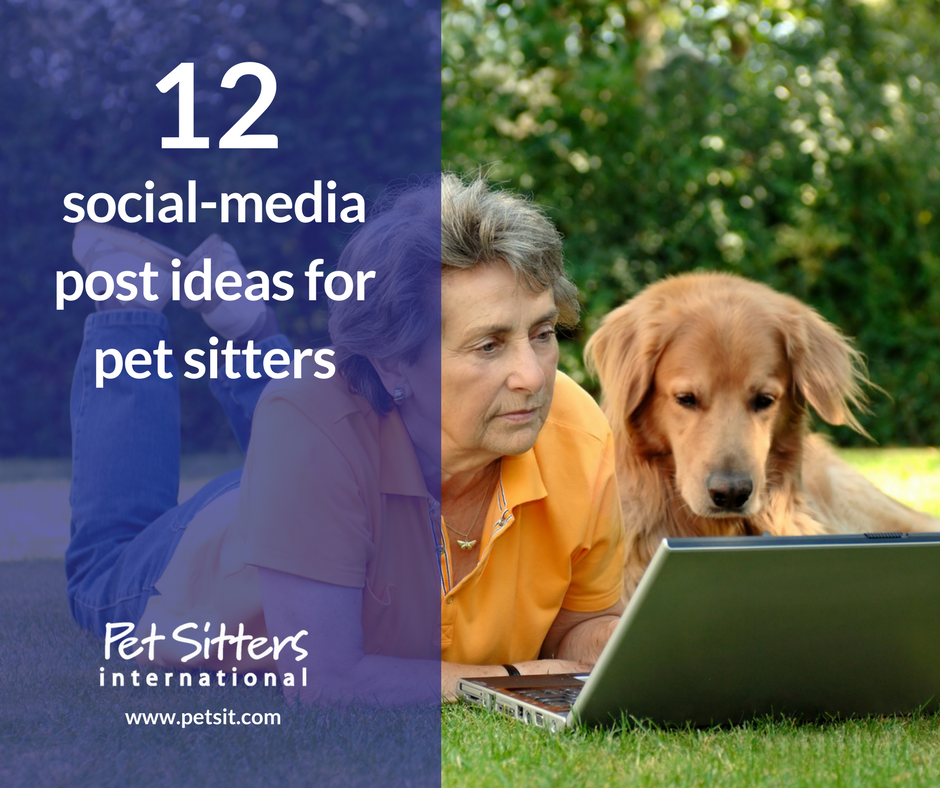Private pet sitters near me online