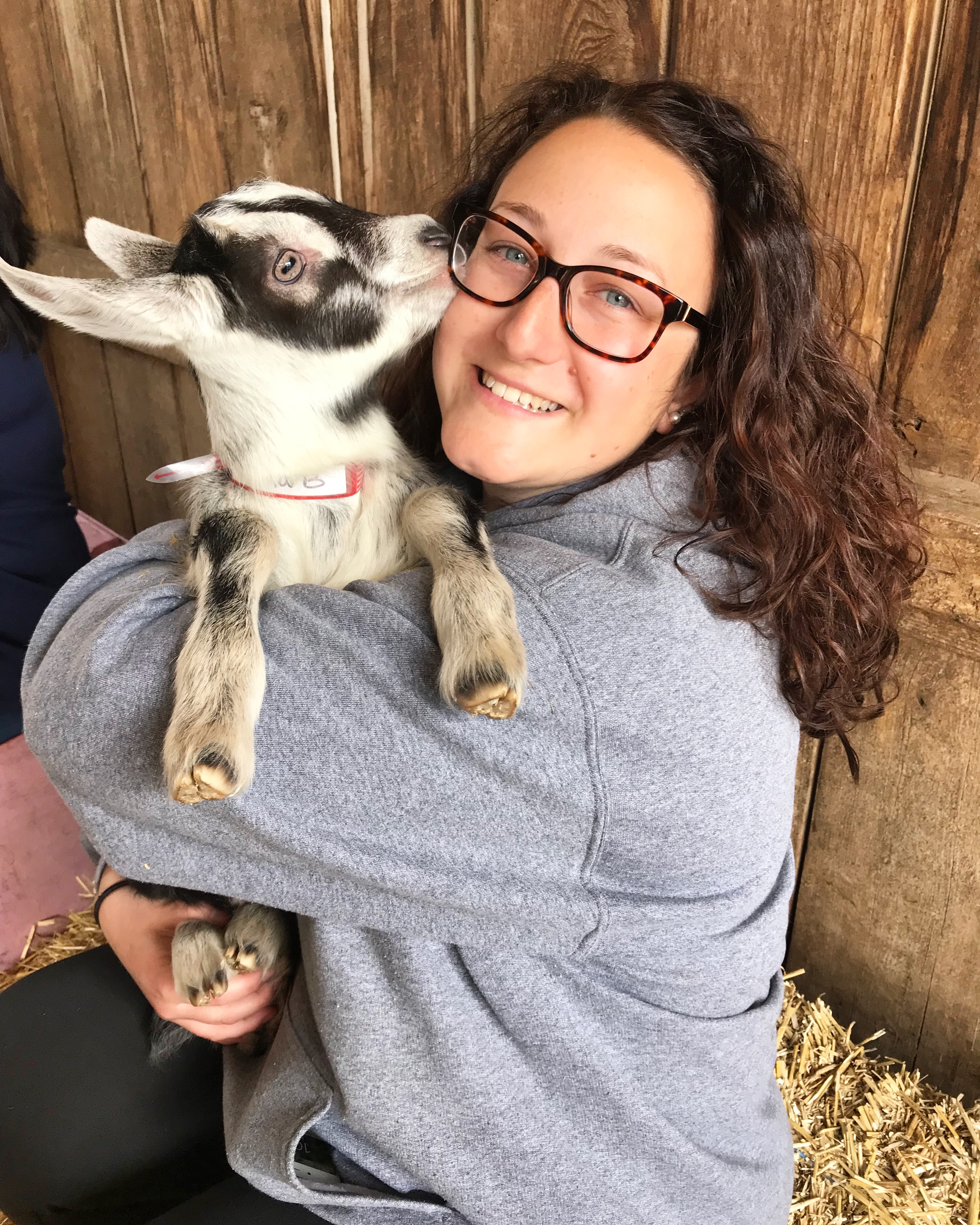 Nicole’s Pet Care