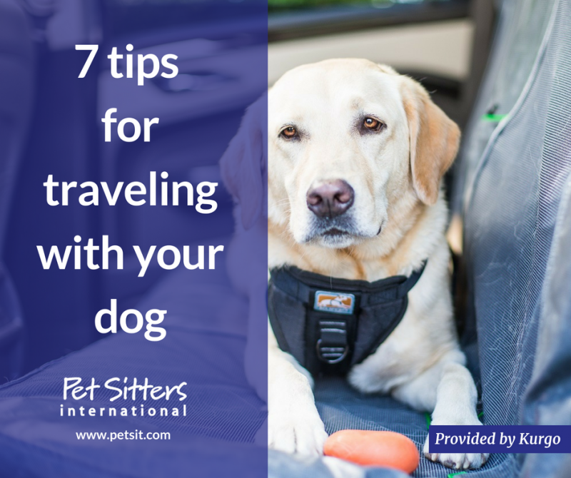 Traveling with your dog Pet Sitters International