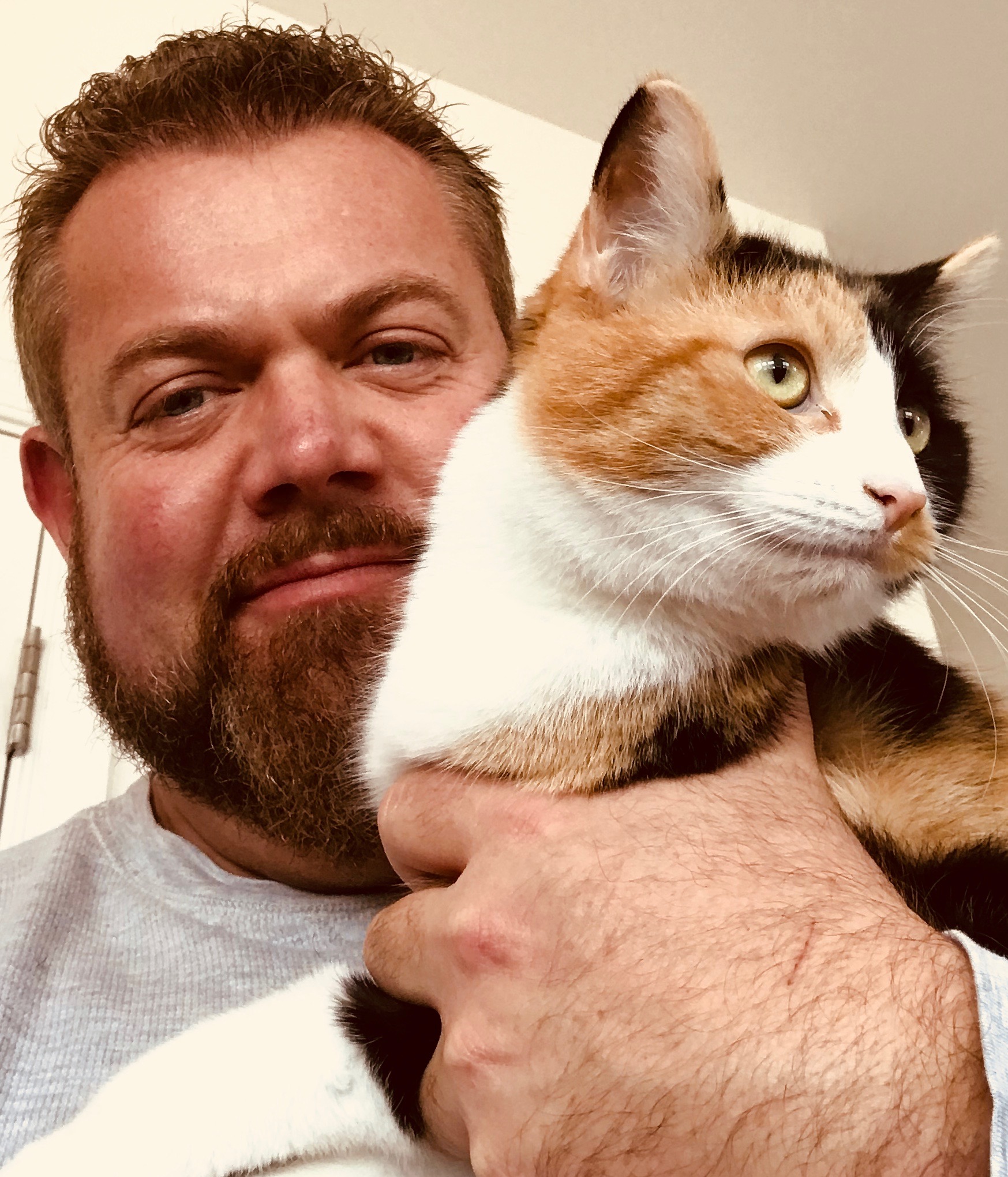 Maryland Craigslist Free Pets - bwakhwx