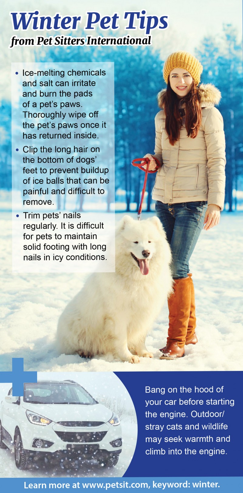 Tips for a happier winter with your pet