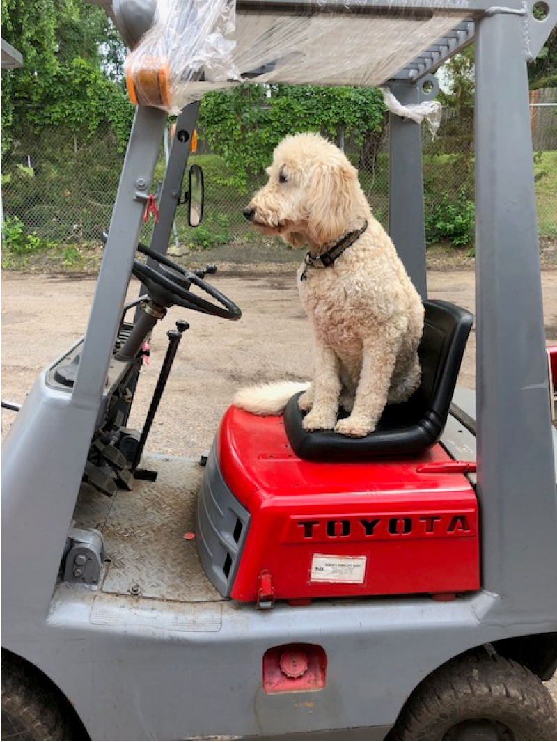 Tori on the forklift