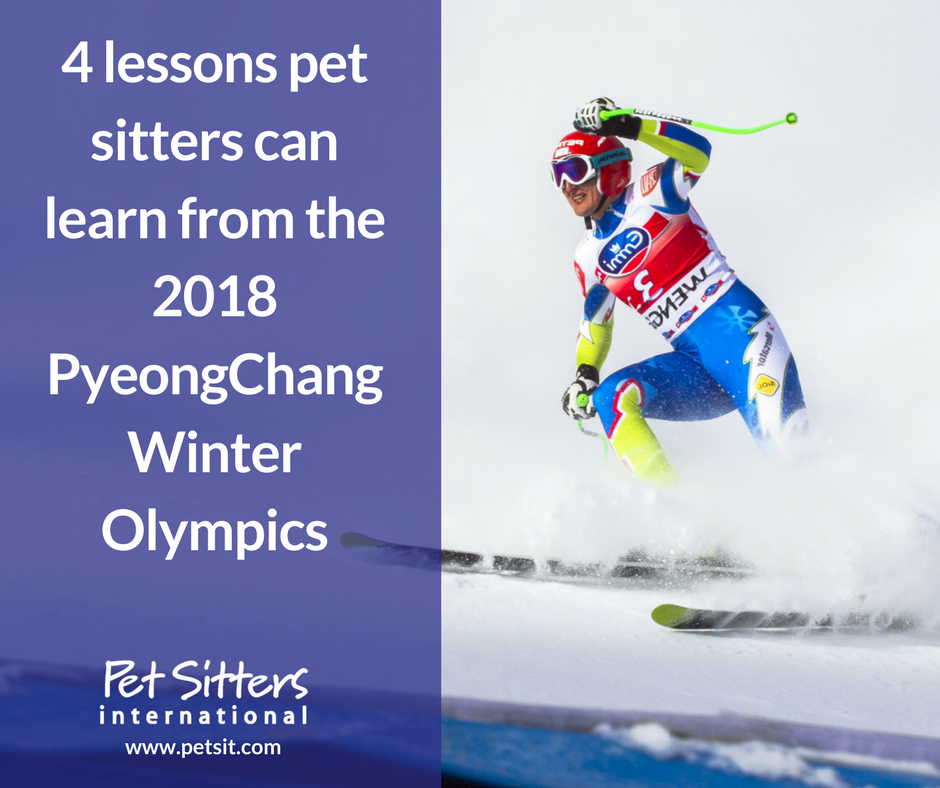 2018 Pyeongchang Winter Olympics Lessons For Pet Sitters