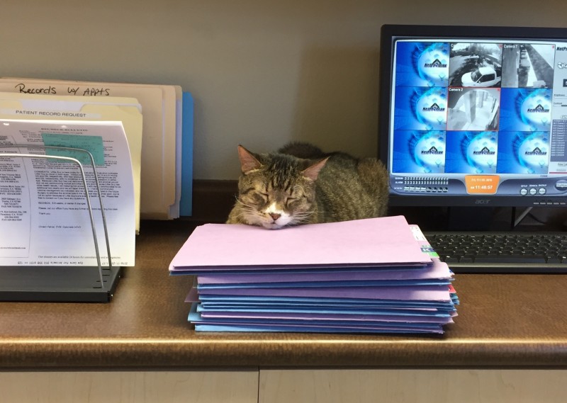 Too much paper work 