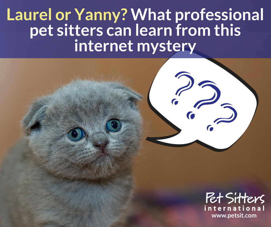 Laurel or Yanny? What professional pet sitters can learn from this internet mystery