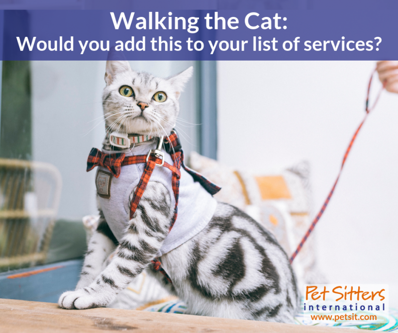 Cat Walking Pet Sitters International