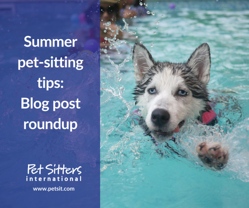 How Dangerous Is Roundup For Dogs