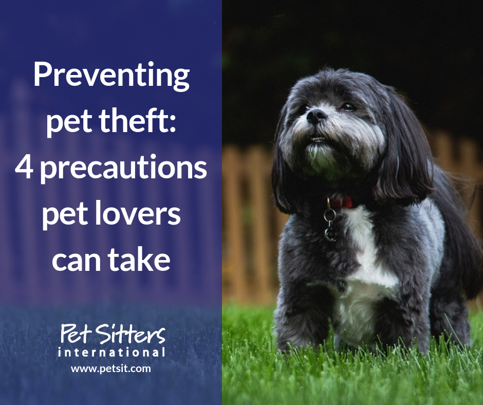 Preventing pet theft: 4 precautions pet lovers can take