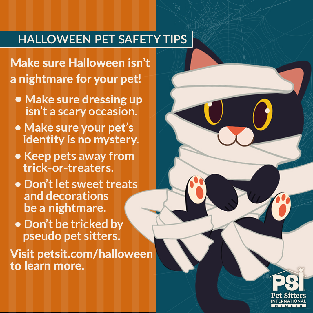 Halloween tips to keep pet safe from Pet Sitters International