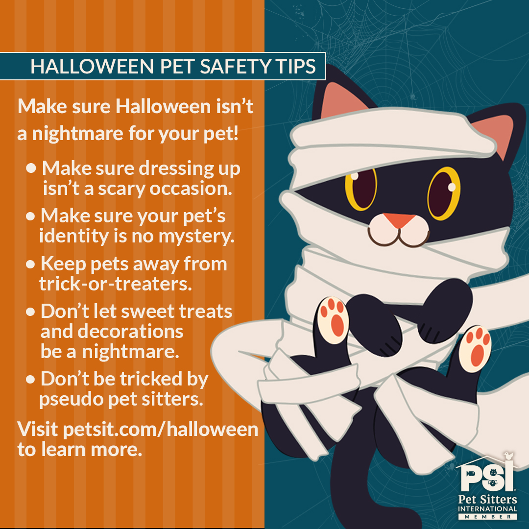 Halloween tips to keep pet safe from Pet Sitters International