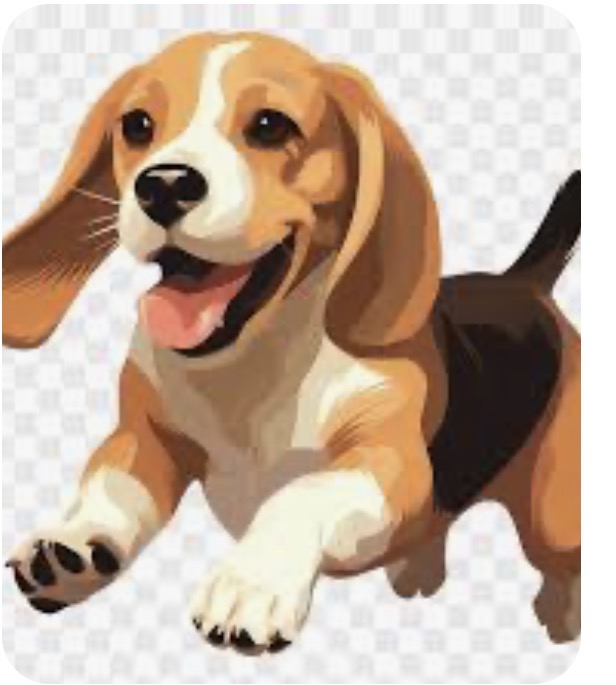 Frida’s Premium Pet Services