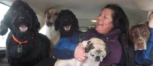 Dawn's Dog Boarding and Pet Sitting