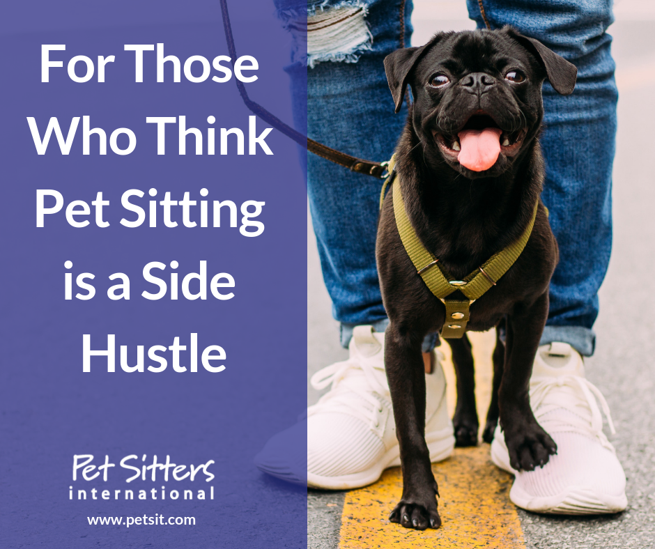 Pet Sitting Is Not a Side Hustle Pet Sitters International