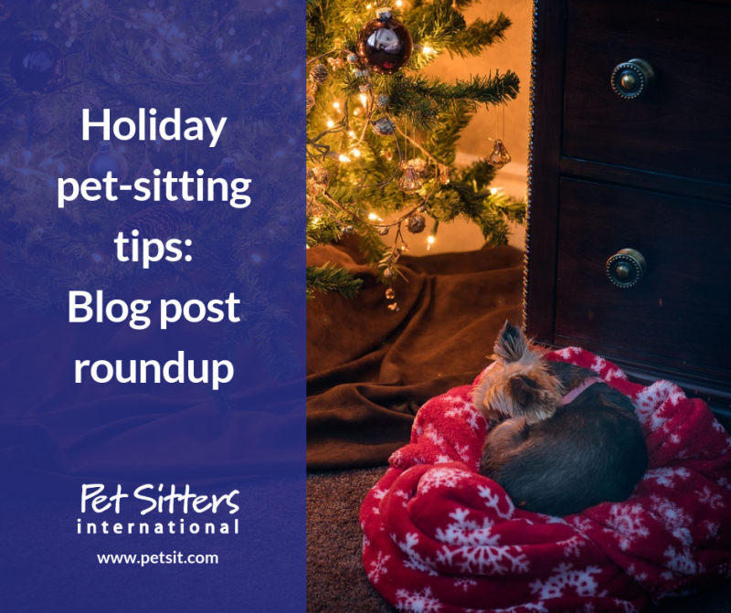Holiday petsitting tips Pet Sitters International