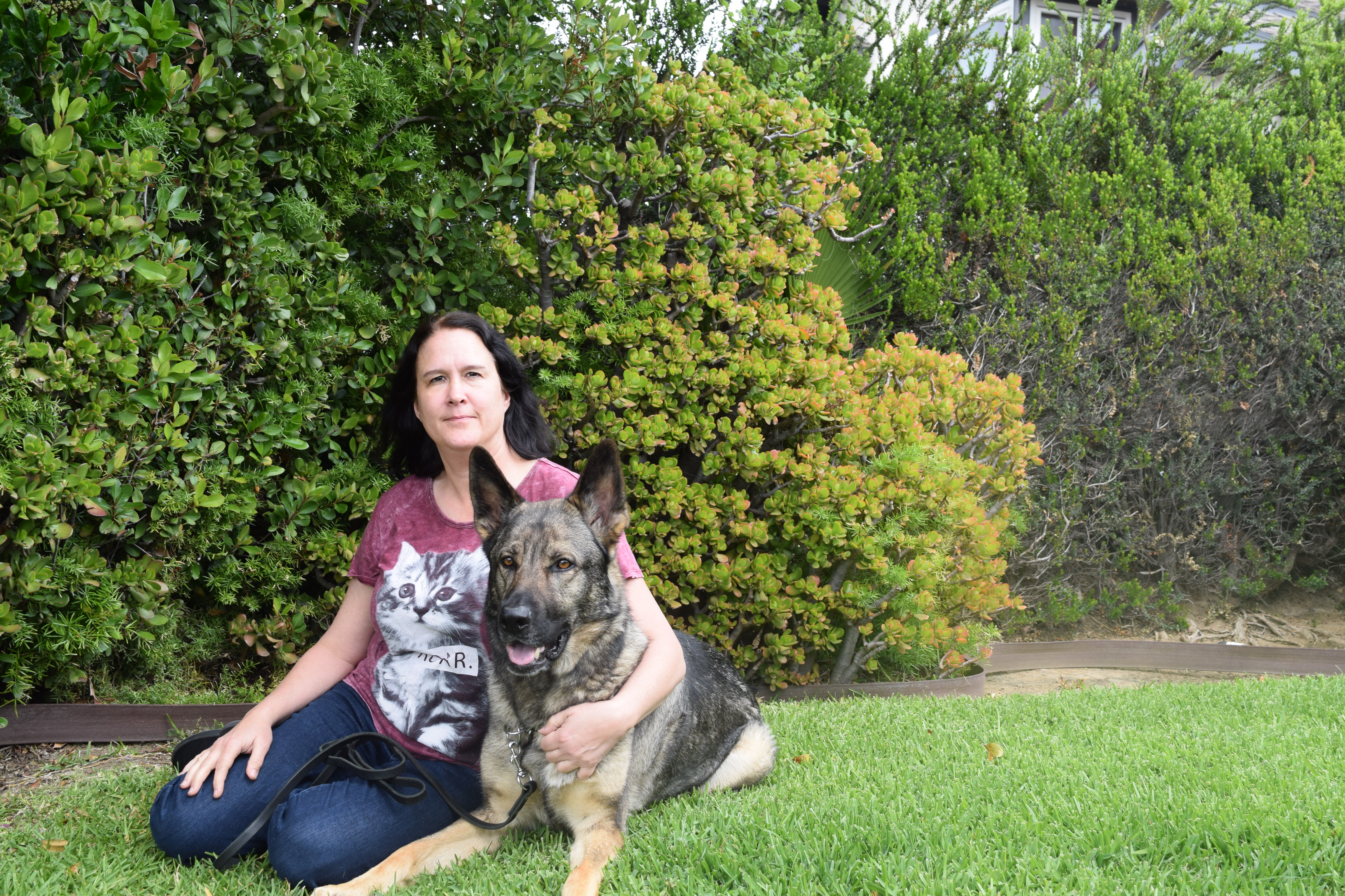 Oggie Doggie's Dog Walking Service