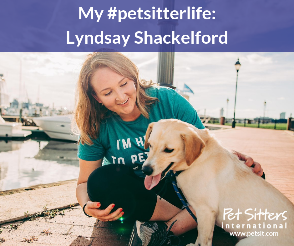 My #petsitterlife: Lyndsay Shackelford, Dogs of Charm City