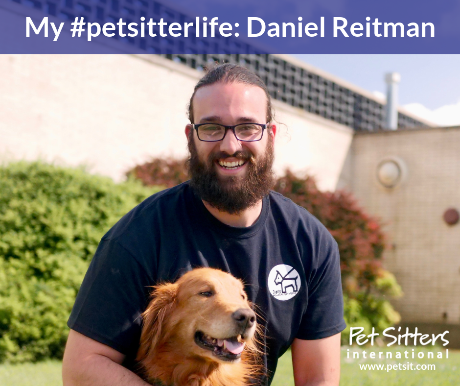 My #petsitterlife: Daniel Reitman, Dan's Dog Walking and Pet Sitting