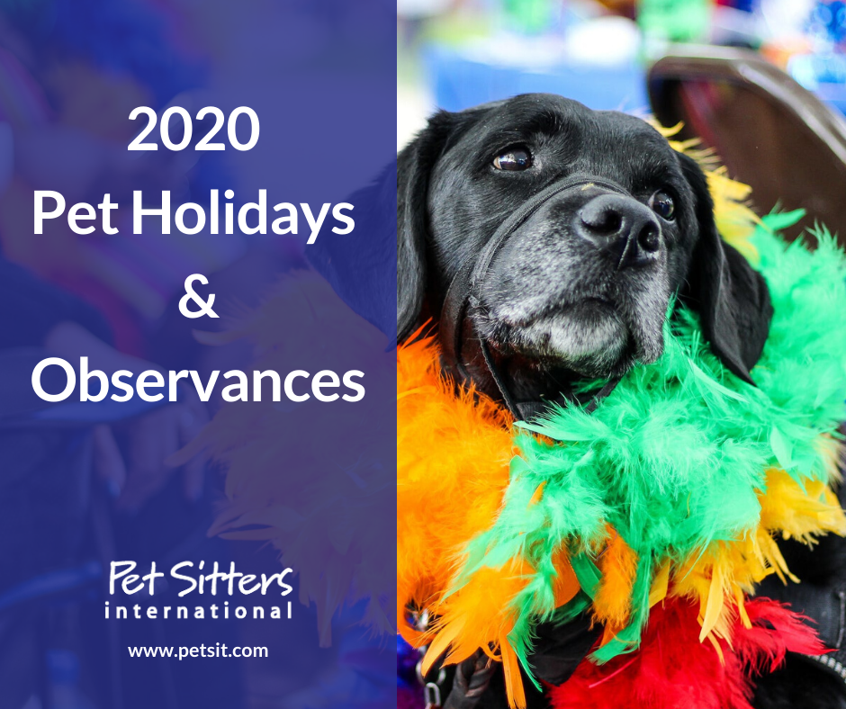2020 Pet Holidays Pet Sitters International
