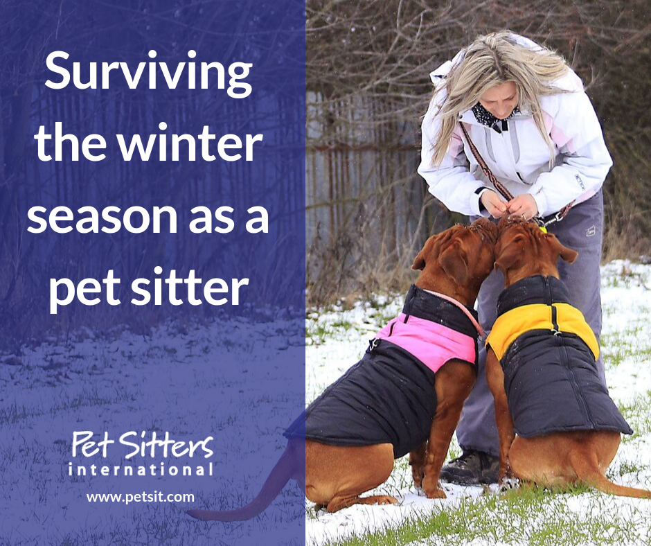 Winter Tips for Pet Sitters Pet Sitters International