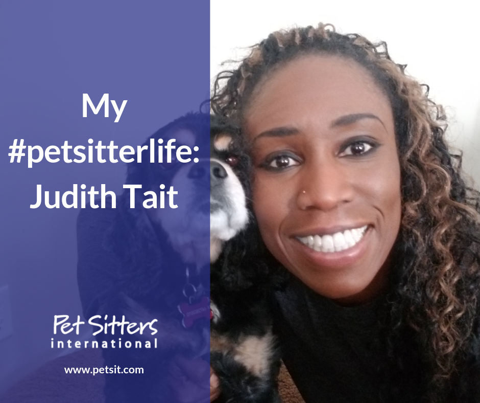 My #petsitterlife: Judith Tait, Move Your Doggie