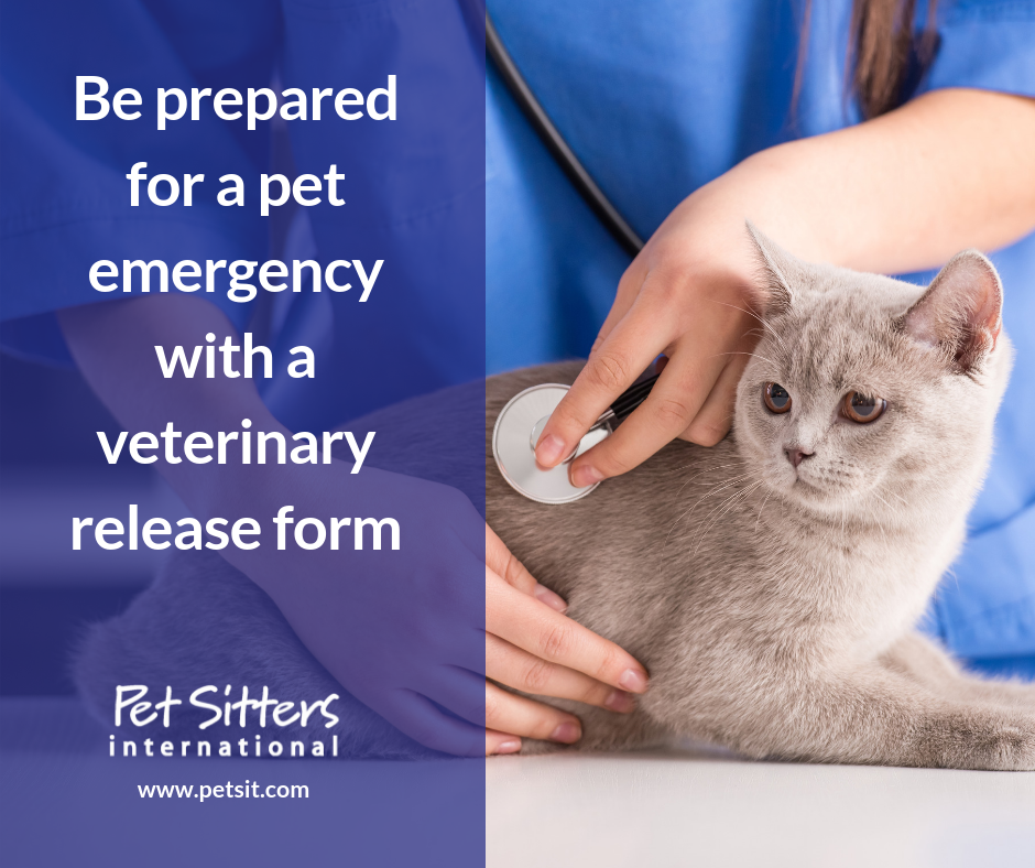 Be prepared for a pet emergency with a veterinary release form