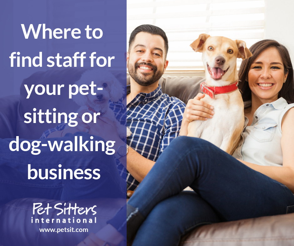 Finding Staff Sitters Pet Sitters International