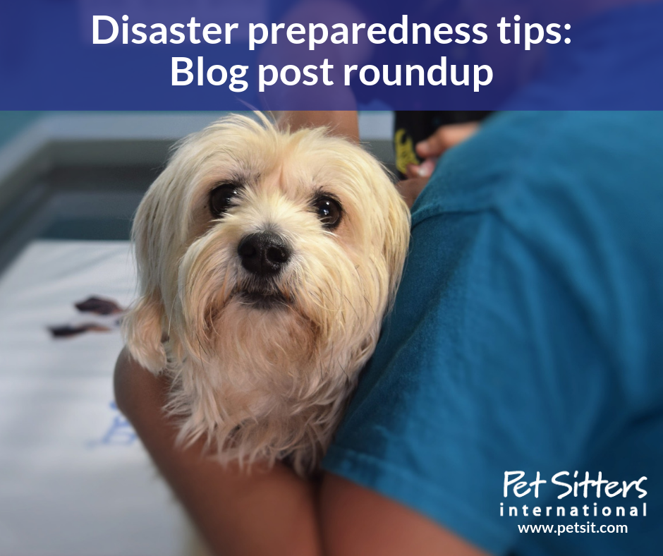 Disaster preparedness tips: Blog post roundup