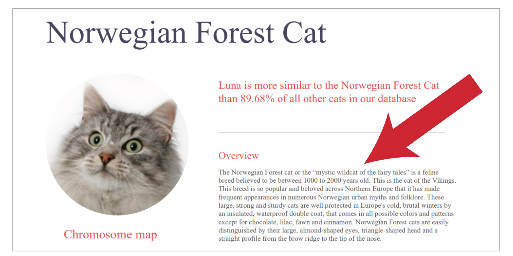 DNA testing for cats Pet Sitters International