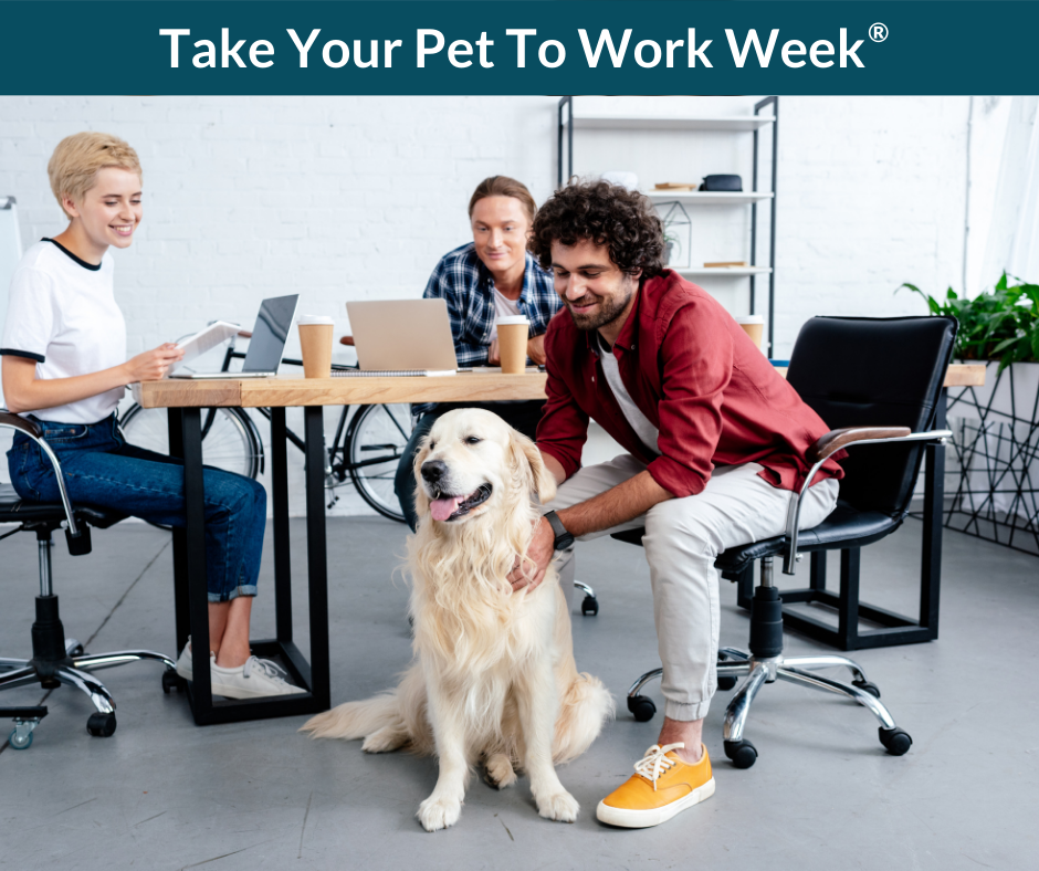 Take Your Pet To Work Week